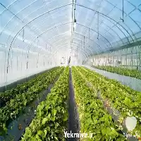 ساخت سازه گلخانه در گروه سازنده در یکمیوه