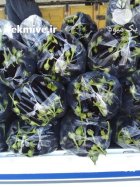 فروش و ارسال بادمجان رقم قلمی در گروه خرید و فروش بادمجان در یکمیوه