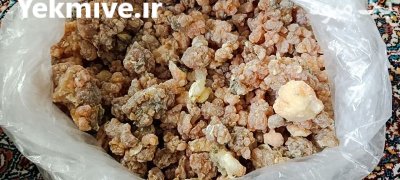 صمغ باریجه طبیعی و خشک در گروه خرید و فروش گیاهان دارویی در یکمیوه -عکس2