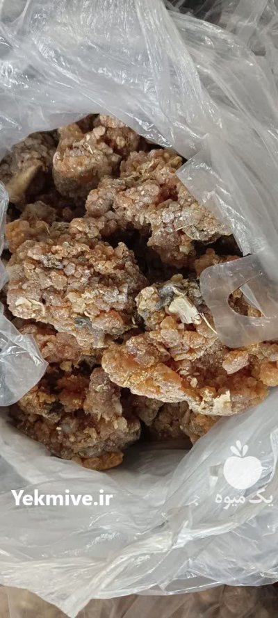 صمغ باریجه طبیعی و خشک در گروه خرید و فروش گیاهان دارویی در یکمیوه -عکس3