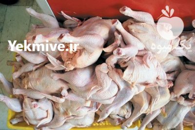 فروش دستگاه پرکن مرغ و طیور در ارومیه در گروه تجهیزات مرغداری در یکمیوه -عکس2