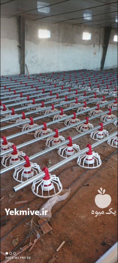 تجهیزات مرغداری در آوج در گروه تجهیزات مرغداری در یکمیوه -عکس3