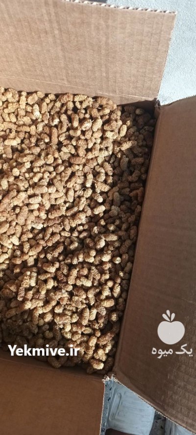 خشکبار توت خشک در گروه انواع خشکبار در یکمیوه -عکس1