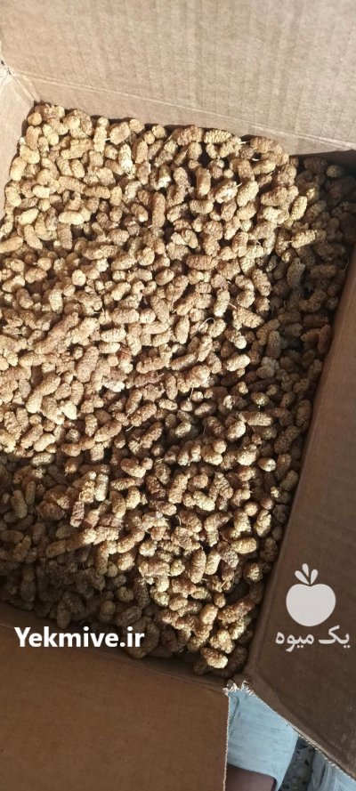 خشکبار توت خشک در گروه انواع خشکبار در یکمیوه -عکس2