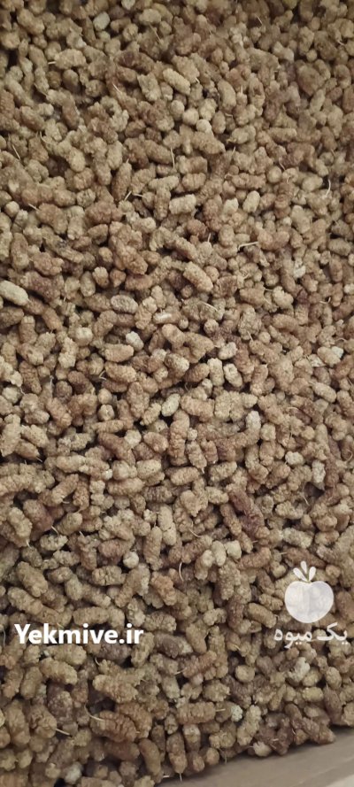 خشکبار توت خشک در گروه انواع خشکبار در یکمیوه -عکس3