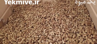 خشکبار توت خشک در گروه انواع خشکبار در یکمیوه -عکس4