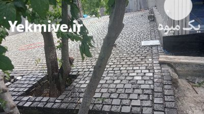 فروش سنگ کوبیک اجرای سنگ کوبیک در آبسرد در گروه سازنده در یکمیوه -عکس1