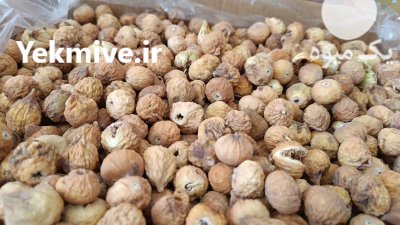 فروش انجیر خشک استهبان به قیمت در فسا در گروه خرید و فروش انجیر در یکمیوه -عکس2