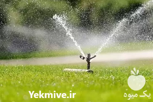 قیمت خرید آبپاش آلومینیومی در گروه خرید و فروش آبپاش کشاورزی در یکمیوه -عکس1