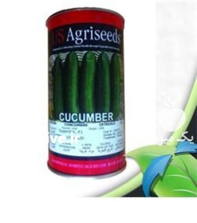 بذر خیار فضای باز هایک یو در بوئین زهرا در گروه خرید و فروش بذر خیار در یکمیوه -عکس1