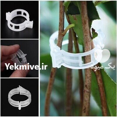 گیره بوته گلخانه در تهران در گروه خرید و فروش تجهیزات گلخانه در یکمیوه -عکس2