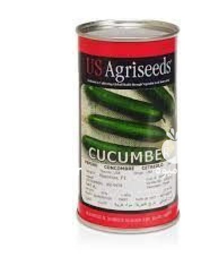 توزیع بذر خیار ماکسیموس در ساری در گروه خرید و فروش بذر خیار در یکمیوه -عکس1