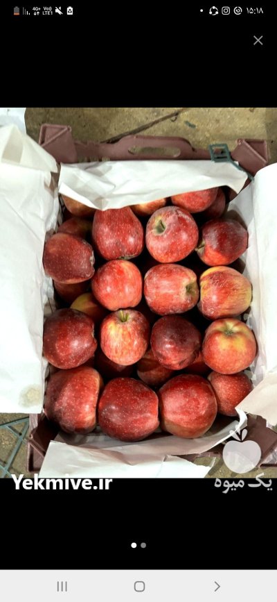 فروش سیب قرمز لوکس ممتاز در ارومیه در گروه خرید و فروش سیب در یکمیوه -عکس1