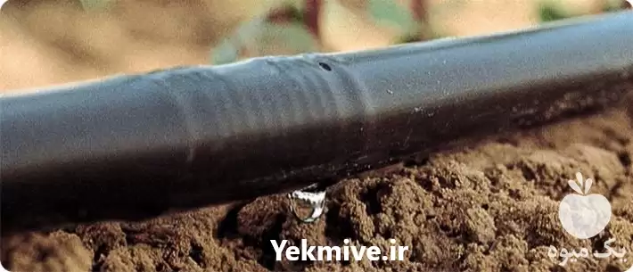 فروش قیمت لوله آب کشاورزی اتصالات در تهران در گروه خرید و فروش لوله کشاورزی در یکمیوه -عکس1