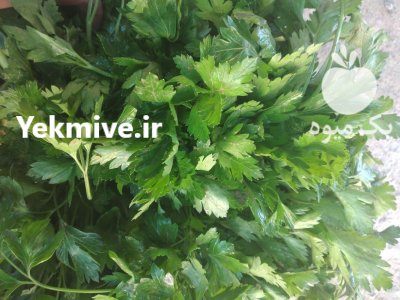 سبزیجات و صیفیجات در دزفول در گروه خرید و فروش محصولات صیفی در یکمیوه -عکس2