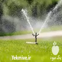 قیمت خرید آبپاش آلومینیومی در گروه خرید و فروش آبپاش کشاورزی در یکمیوه