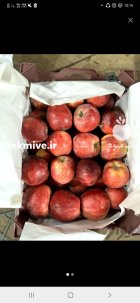 فروش سیب قرمز لوکس ممتاز در ارومیه در گروه خرید و فروش سیب در یکمیوه