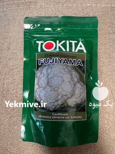 فروش بذر گل کلم فوجی یاما در بندرعباس در گروه خرید و فروش بذر صیفی جات در یکمیوه -عکس1