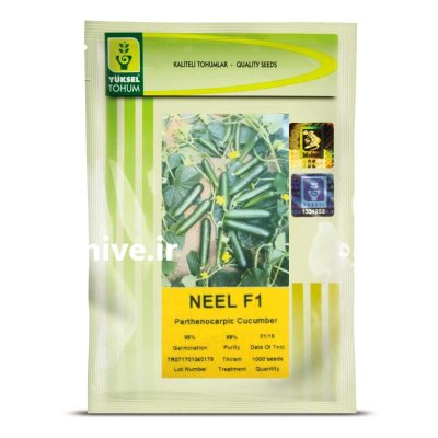 بذر خیار نیل NEEL F 1 در اهواز در گروه خرید و فروش بذر خیار در یکمیوه -عکس1