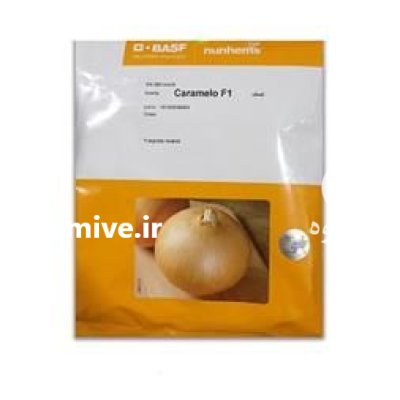 بذر پیاز زرد کاراملو نانهمز در چناره در گروه خرید و فروش بذر پیاز در یکمیوه -عکس1