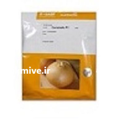 بذر پیاز زرد کاراملو نانهمز در ایلام در گروه خرید و فروش بذر پیاز در یکمیوه -عکس1