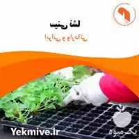 فروش سینی نشا در تهران در گروه خرید و فروش نشا در یکمیوه