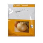 بذر پیاز زرد کاراملو نانهمز در چناره در گروه خرید و فروش بذر پیاز در یکمیوه