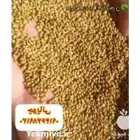 قیمت خرید بذر یونجه در بیرجند در گروه خرید و فروش بذر یونجه در یکمیوه