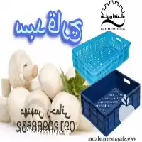 قیمت خرید سبد قارچ و سورتینگ در اصفهان در گروه خرید و فروش انواع سبد در یکمیوه