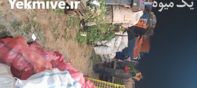 حق العمل کاری بارفروشی در تبریز در گروه بارفروشی محصولات کشاورزی در یکمیوه -عکس2