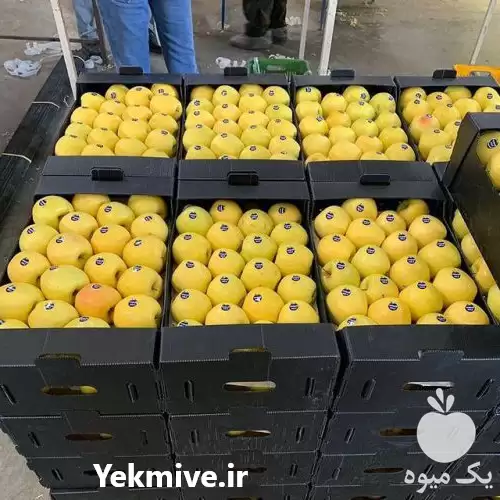 طراحی و تولید کارتن صادراتی کارنوپک در کرج در گروه خرید و فروش انواع بسته بندی کارتن در یکمیوه -عکس1