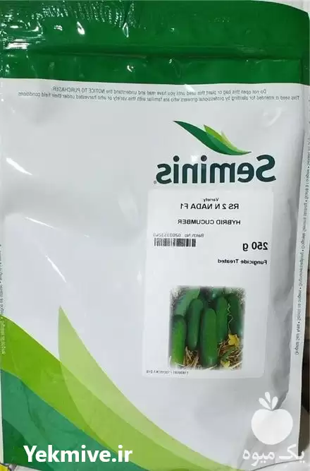 فروش بذر خیار رویال 2 n نادا در زنجان در گروه خرید و فروش بذر خیار در یکمیوه -عکس1