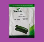 بذر خیار مونزا MONZA سمینیس فروش در اهواز در گروه خرید و فروش بذر خیار در یکمیوه