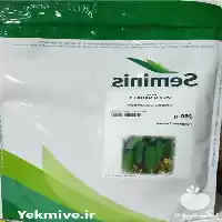 فروش بذر خیار رویال 2 n نادا در زنجان در گروه خرید و فروش بذر خیار در یکمیوه