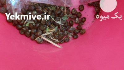 فروش کود حیوانی خرگوش در گروه خرید و فروش کود حیوانی در یکمیوه -عکس1