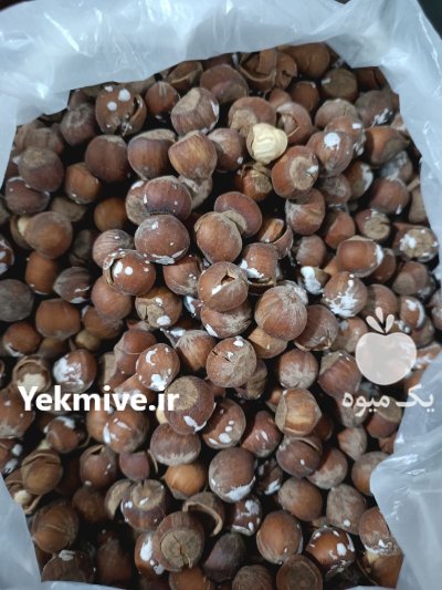 خرید و فروش فندق بصورت عمده و خرده در گروه خرید و فروش فندق در یکمیوه -عکس2