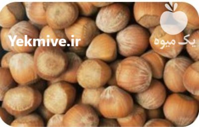 خرید و فروش فندق بصورت عمده و خرده در گروه خرید و فروش فندق در یکمیوه -عکس3