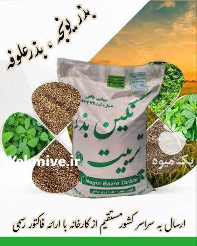 فروش بذر یونجه درجه یک در بروجن در گروه خرید و فروش بذر یونجه در یکمیوه -عکس3