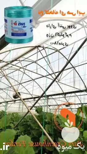 قیمت خرید نخ گلخانه هاس ایپ نخ در تهران در گروه خرید و فروش تجهیزات گلخانه در یکمیوه -عکس1