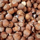 خرید و فروش فندق بصورت عمده و خرده در گروه خرید و فروش فندق در یکمیوه