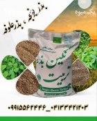 فروش بذر یونجه درجه یک در بروجن در گروه خرید و فروش بذر یونجه در یکمیوه