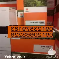 قیمت خرید موجودی بذر چغندرقند kws در تهران در گروه خرید و فروش بذر چغندر در یکمیوه