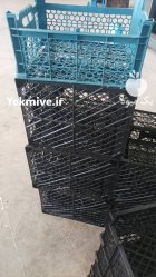 فروش سبد میوه با رنگ دلخواه در اصفهان در گروه خرید و فروش انواع سبد در یکمیوه