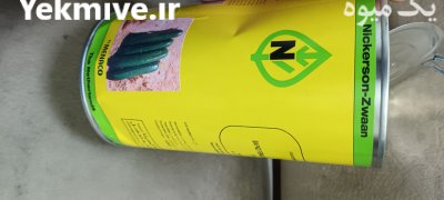 بذر خیار نیکرسون هلند 500 گرم در اسلامشهر در گروه خرید و فروش بذر خیار در یکمیوه -عکس1