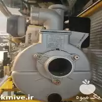 قیمت خرید پمپ آب روبین در گرگان در گروه خرید و فروش پمپ کشاورزی در یکمیوه