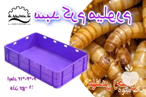 قیمت خرید سبد کرم میلورم نشکن در کرج در گروه خرید و فروش انواع سبد در یکمیوه -عکس1