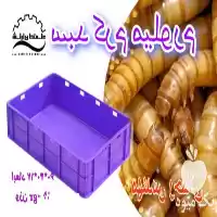 قیمت خرید سبد کرم میلورم نشکن در کرج در گروه خرید و فروش انواع سبد در یکمیوه