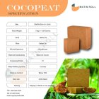 کوکوپیت با کیفیت بالا در گروه خرید و فروش انواع کود کشاورزی در یکمیوه