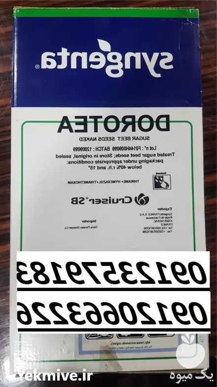 فروش بذر چغندرقند سینجنتا 2019 در تهران در گروه خرید و فروش بذر چغندر در یکمیوه -عکس1