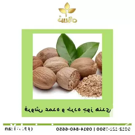 جوز هندی به صورت عمده در گروه خرید و فروش گیاهان دارویی در یکمیوه -عکس1